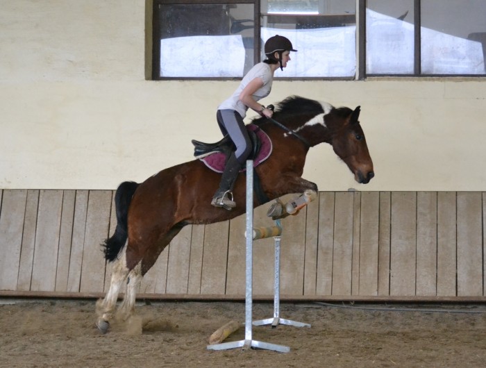 Photo de profil de oriane1712