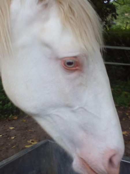 Photo de profil de ortie76