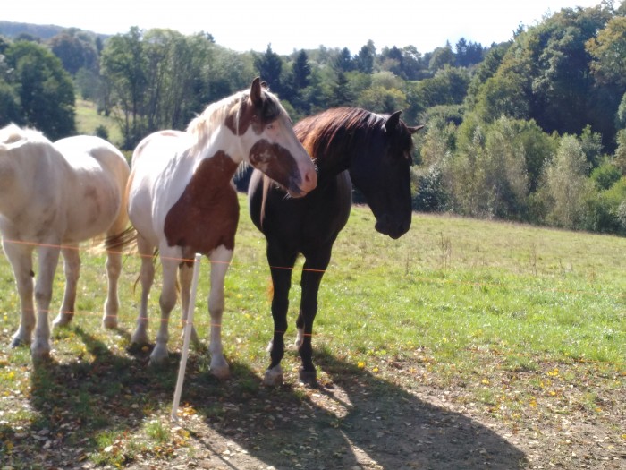 Photo de profil de oscarhakan