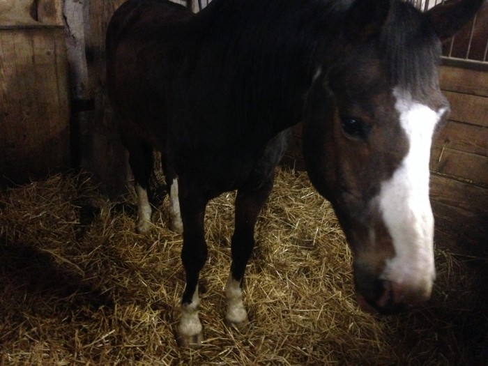 Photo de profil de ovepassion