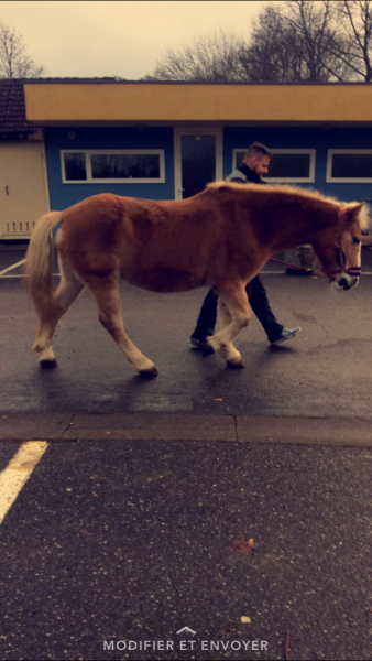 Photo de profil de oya67310