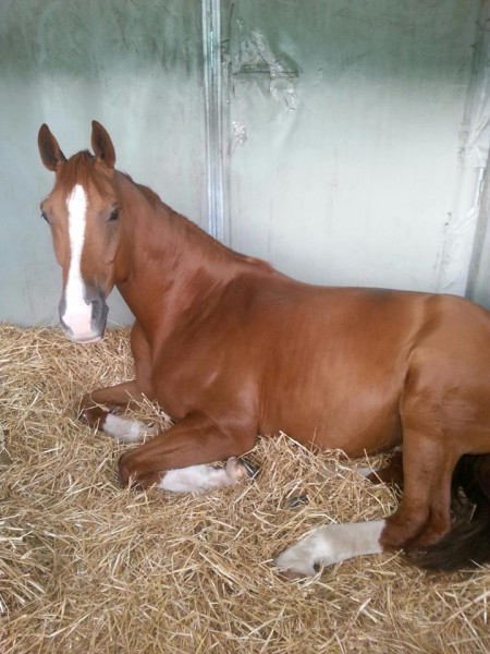 Photo de profil de pasfrancis