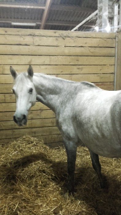 Photo de profil de pauline50000