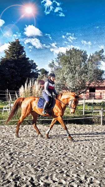 Photo de profil de pauline.grh