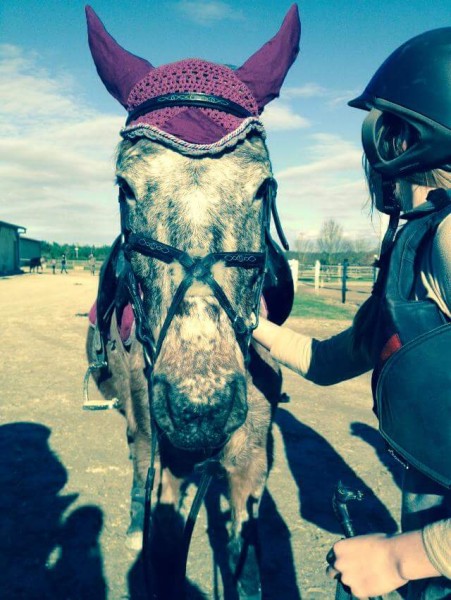 Photo de profil de jumping31