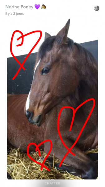 Photo de profil de melinascz