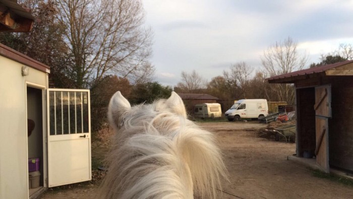 Photo de profil de pauline0246