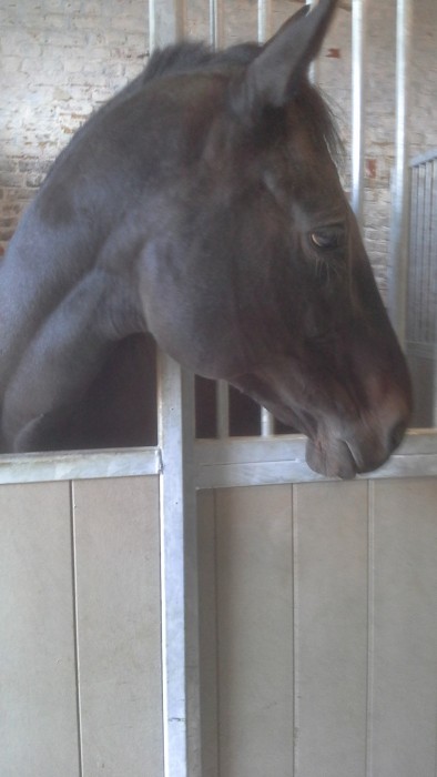 Photo de profil de tiffany.opale