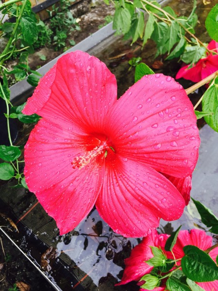 Photo de profil de s0dc220