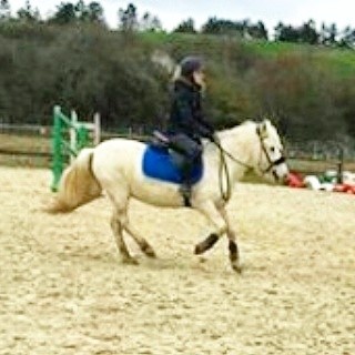 Photo de profil de leane.sqs