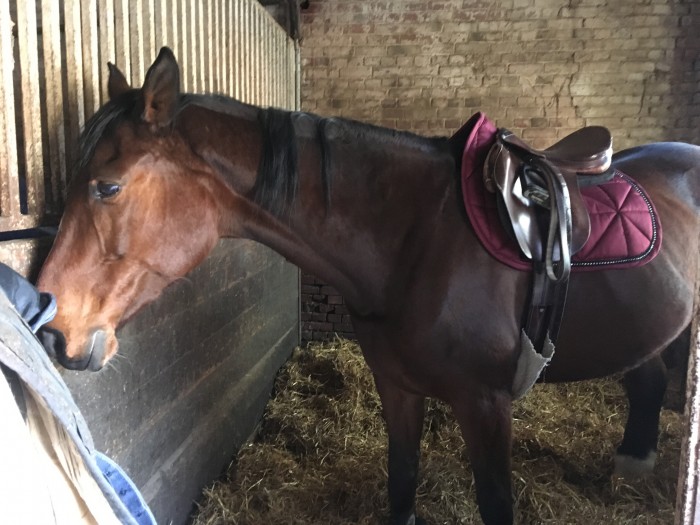 Photo de profil de anaelle.dvr