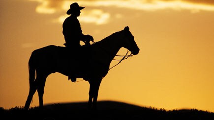 Photo de profil de haddad