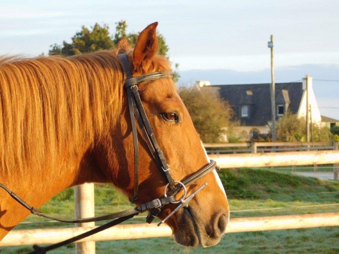 Photo de profil de paauliinee