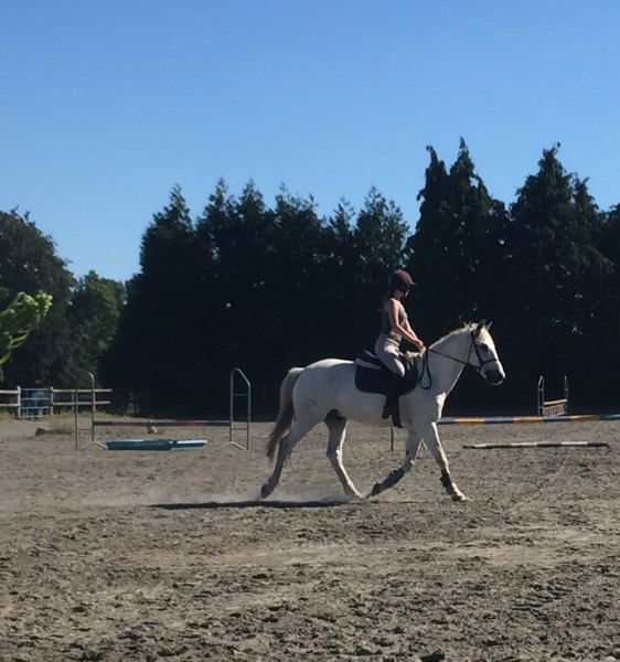 Photo de profil de laurine._fauvel