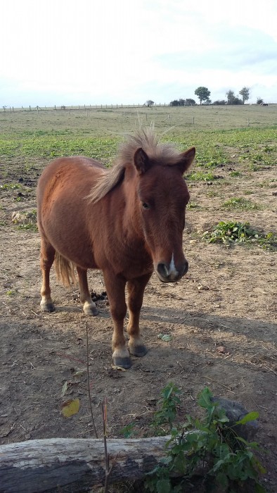 Photo de profil de luciemm