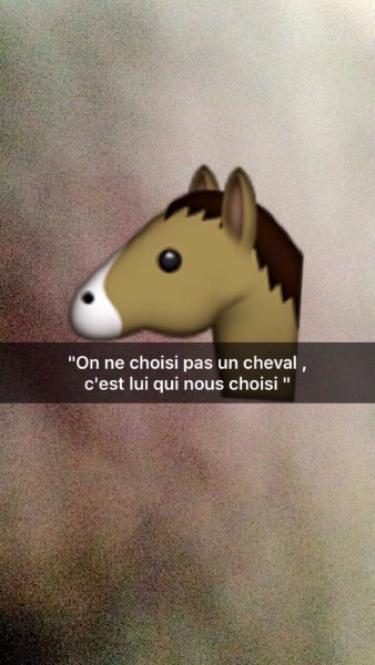 Photo de profil de babaacheval