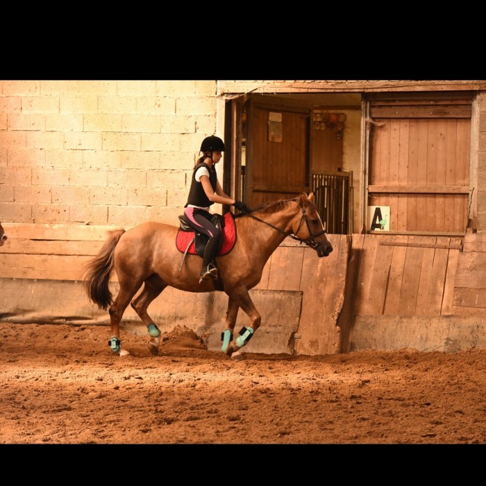 Photo de profil de laurya10