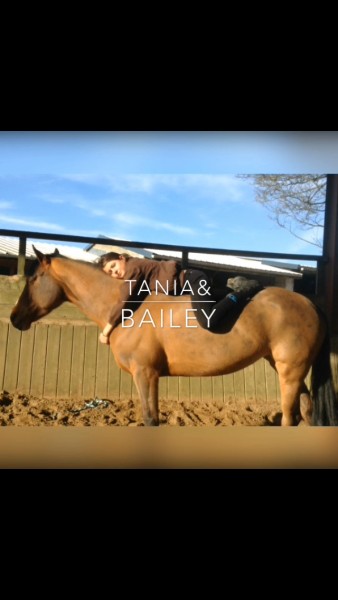 Photo de profil de taniaetbailey