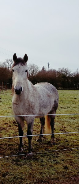 Photo de profil de u2cg