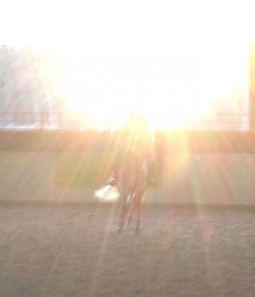 Photo de profil de cariaro