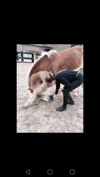 Photo de profil de c.o.l.i.n.e.e.e