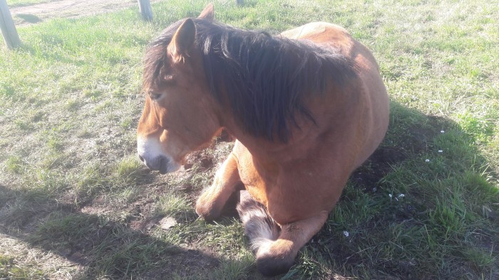 Photo de profil de alias.de.moidas