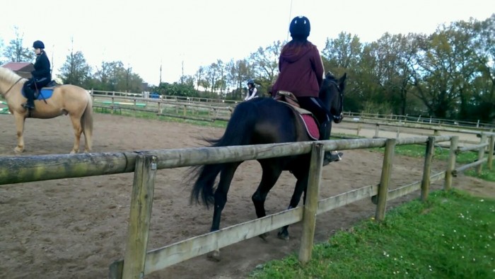 Photo de profil de julie.nmr