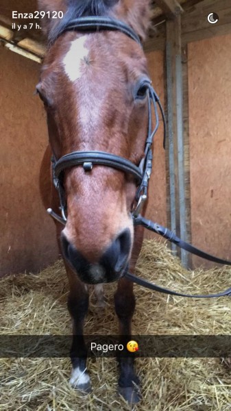 Photo de profil de enza29120