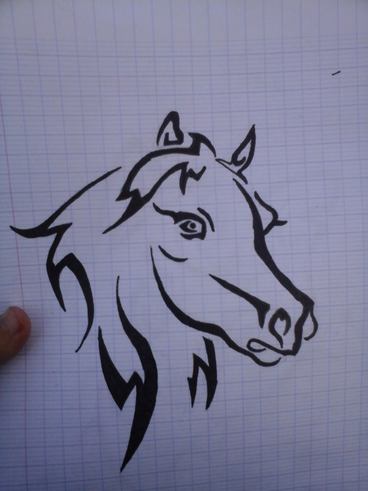 Photo de profil de manon64260