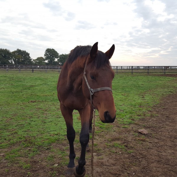 Photo de profil de marine_elliot