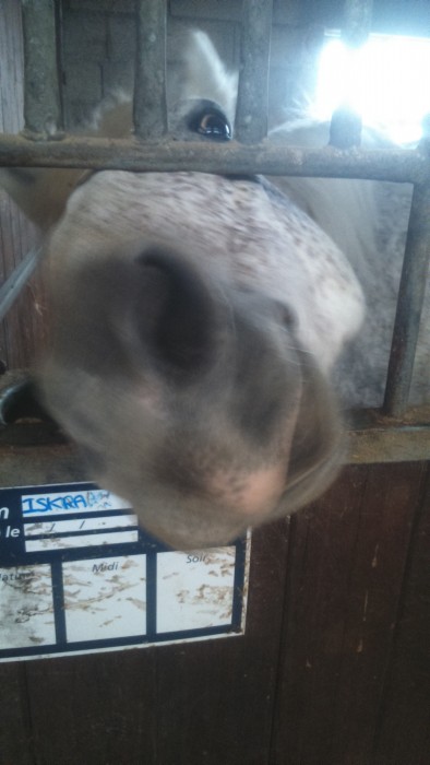 Photo de profil de camille45