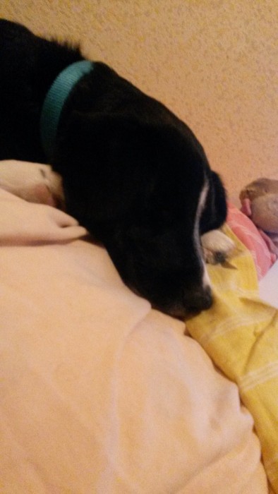 Photo de profil de marvin14