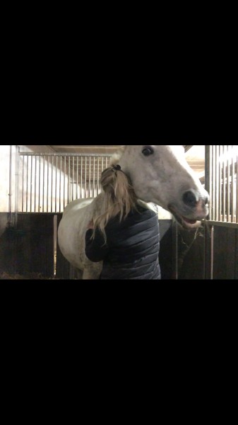Photo de profil de my.horse.navars