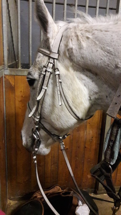 Photo de profil de lexamajor