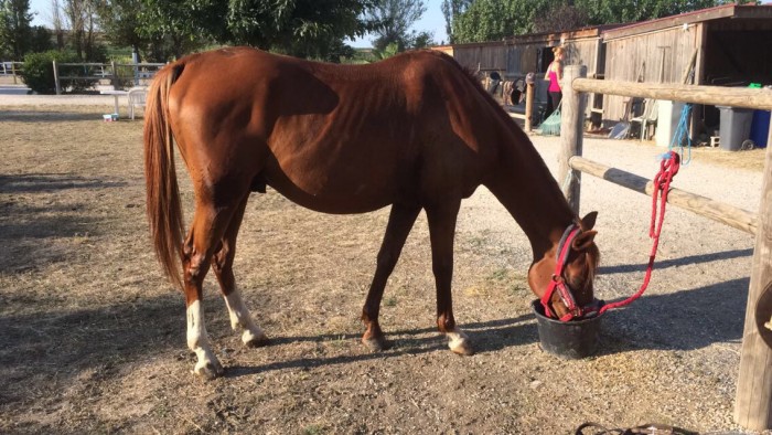 Photo de profil de sarah.leocadio