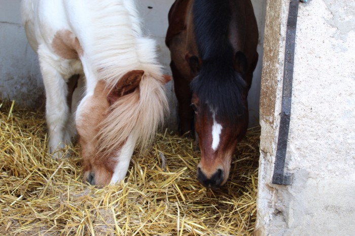 Photo de profil de oli78