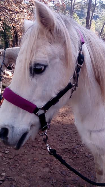 Photo de profil de bszo94210