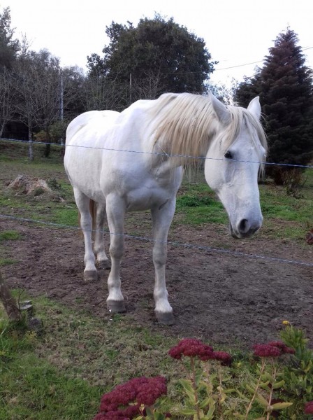 Photo de profil de cassylove5