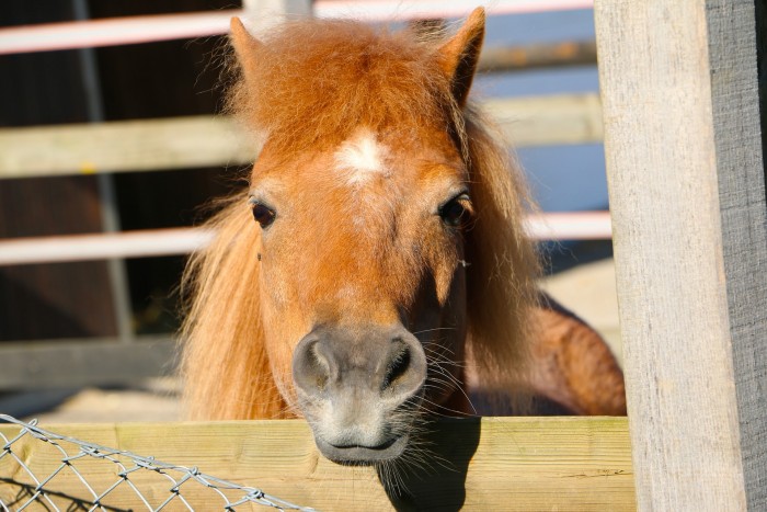 Photo de profil de luludu42