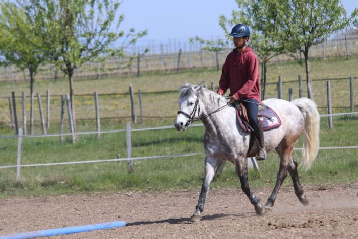 Photo de profil de jeans