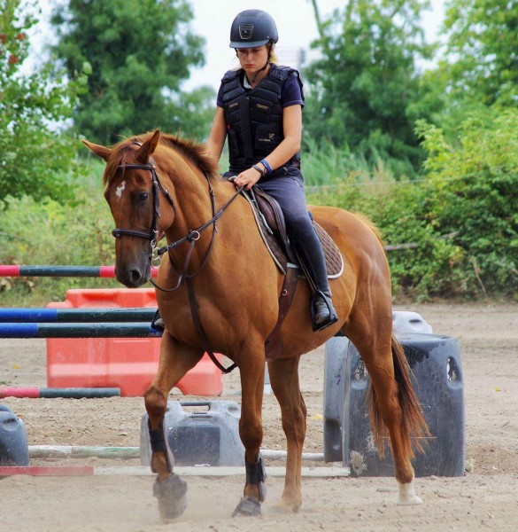 Photo de profil de malo13