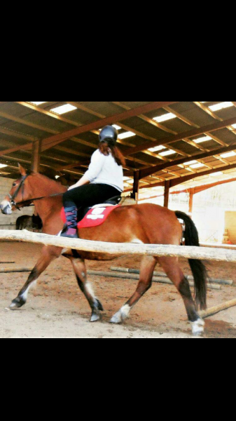 Photo de profil de lacavalieredu24