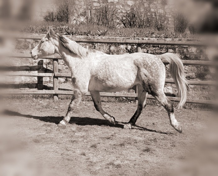 Photo de profil de inesguignard71