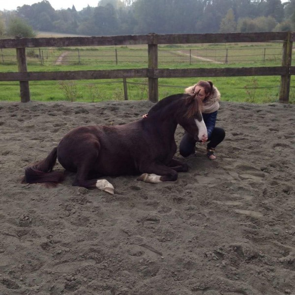 Photo de profil de cosmique