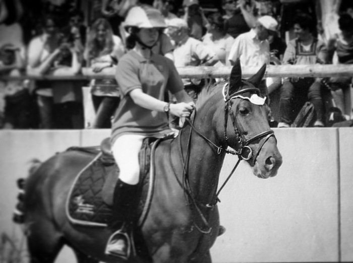 Photo de profil de equifun.team
