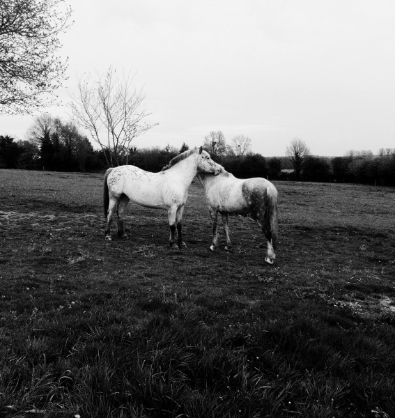 Photo de profil de lollaaa