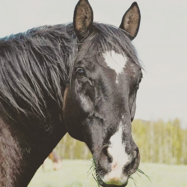 Photo de profil de malon2003