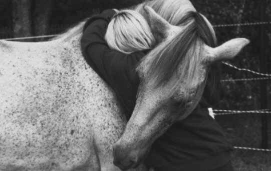 Photo de profil de aria.horse