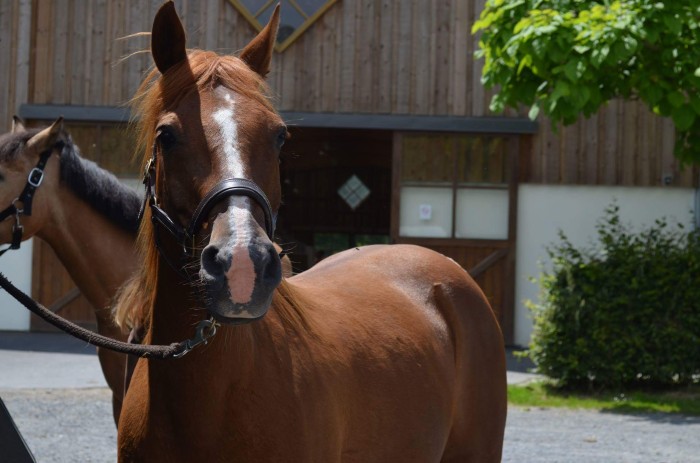 Photo de profil de elodie_dnv