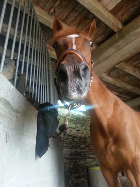 Photo de profil de tany49